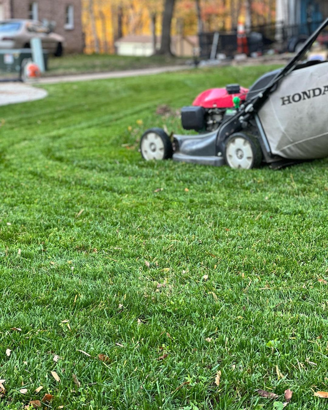 Газонокосарки Honda: переваги, види