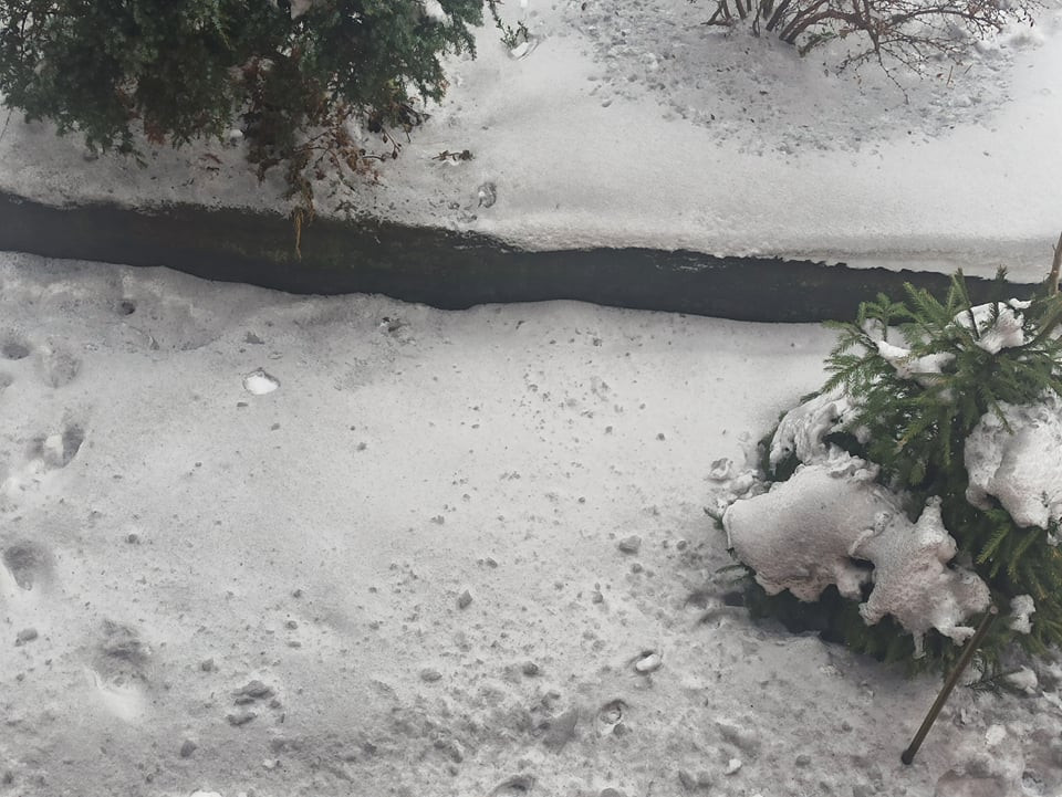 Чорний сніг у Галичі