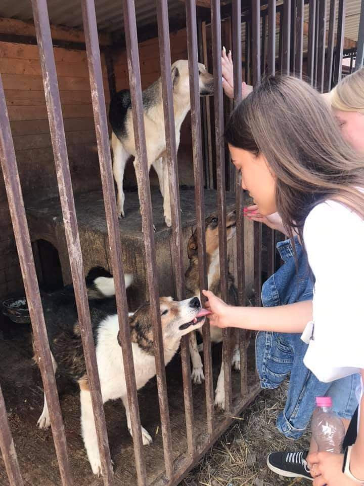 студ. в притулку