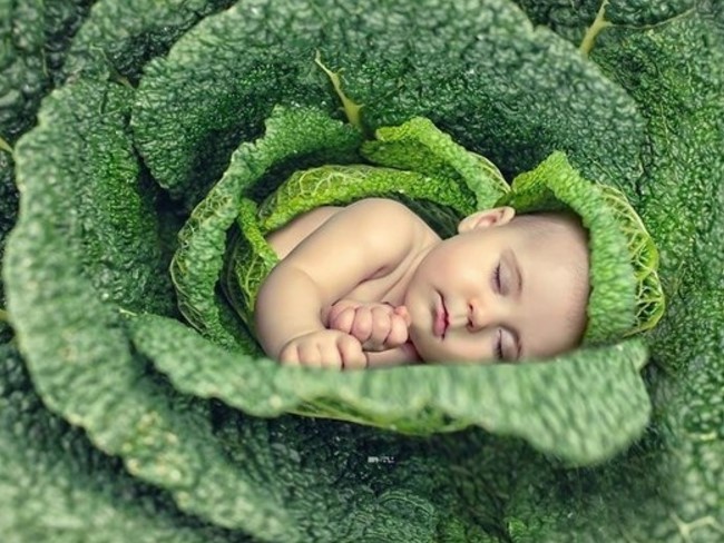 дитина в капусті