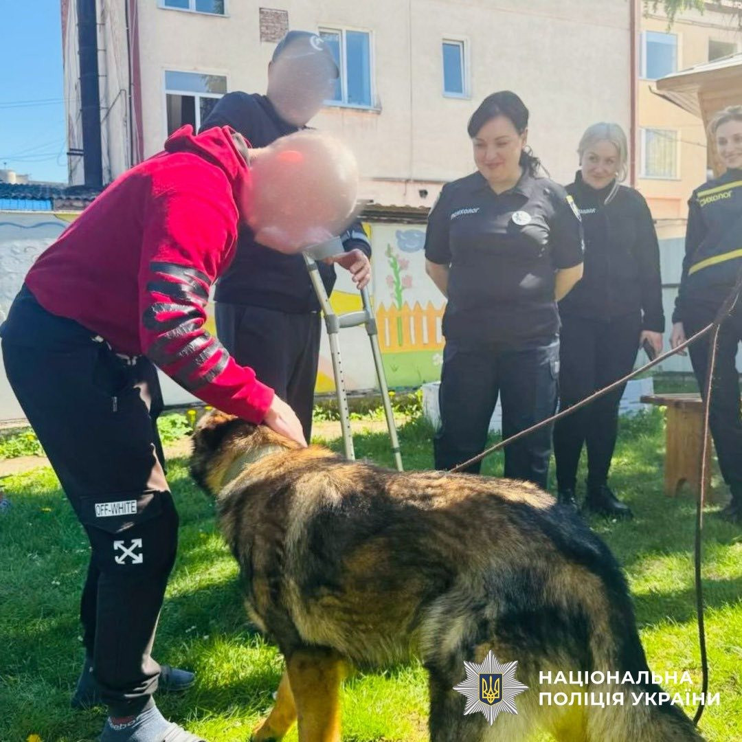 каністерапія