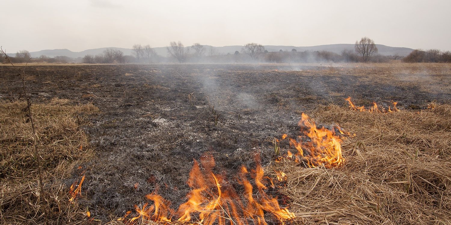 спалювання