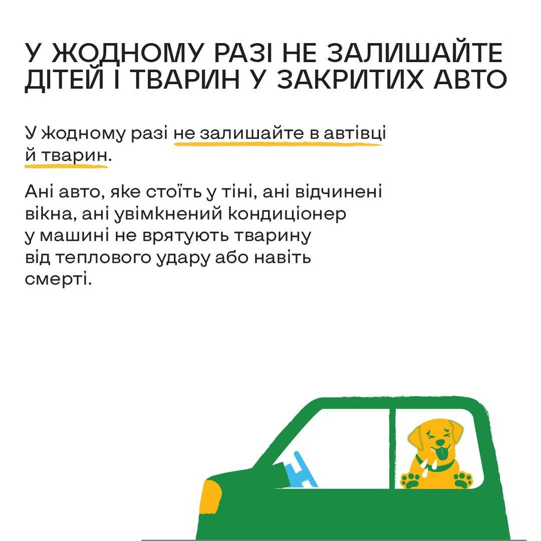 спека
